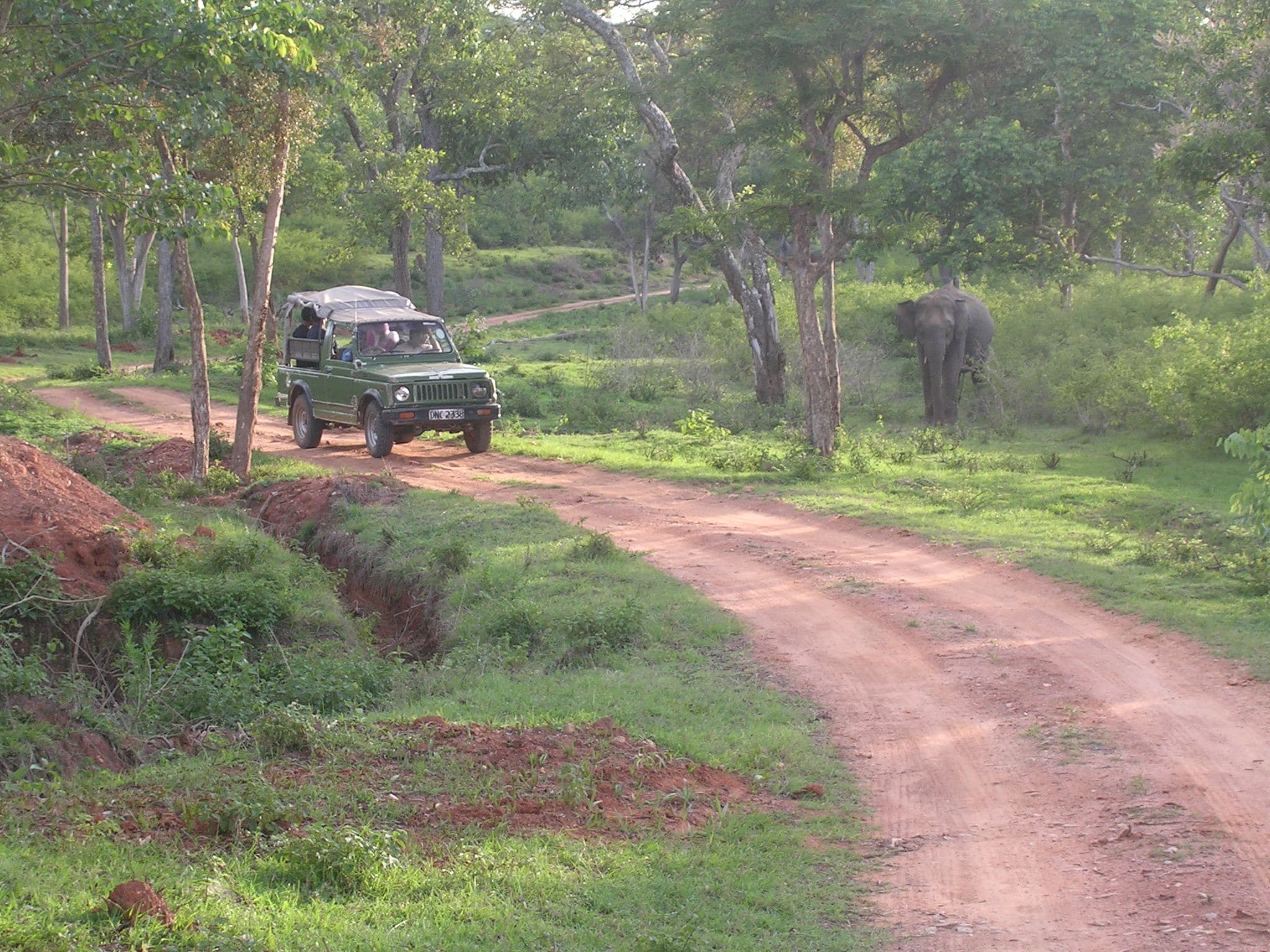 Bandipur National Park