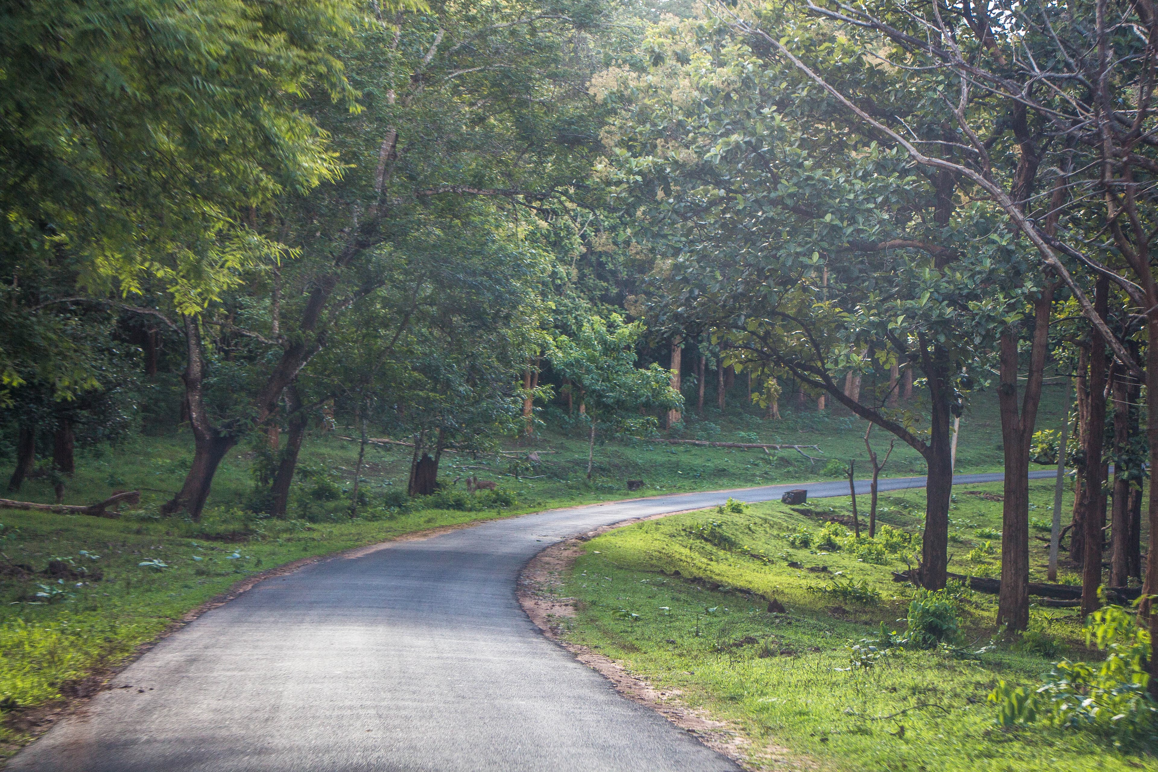 Nagarhole National Park & Tiger Reserve